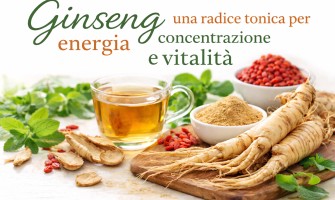 Ginseng una radice tonica per energia concentrazione e vitalità