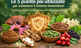 Le 5 piante più utilizzate per sostenere il sistema immunitario