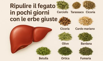 Ripulire il fegato in pochi giorni con le erbe giuste