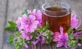 Malva fiori e i 5 benefici naturali per stomaco intestino e vie urinarie