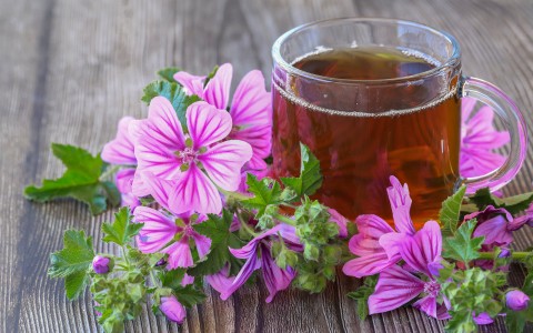 Malva fiori e i 5 benefici naturali per stomaco intestino e vie urinarie