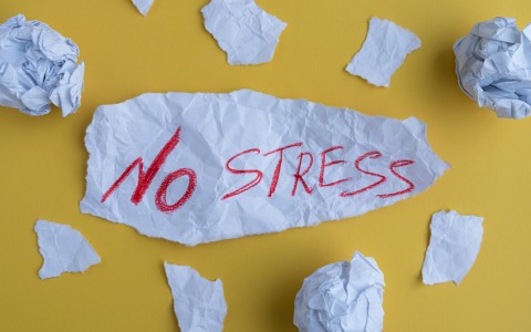 Adattogeni naturali per aiutare i giovani sotto pressione