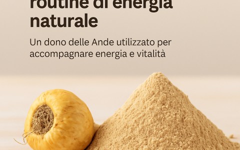 Maca radice e i 5 utilizzi più apprezzati nelle routine di energia naturale