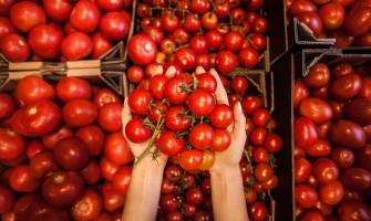 Pomodoro: proprietà naturali e benefici per il benessere quotidiano