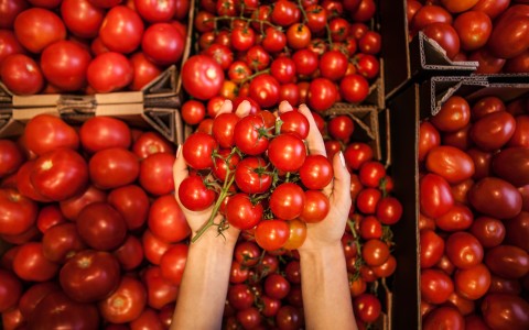 Pomodoro: proprietà naturali e benefici per il benessere quotidiano