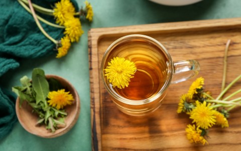 Rodiola rosea: proprietà naturali e benefici per energia e benessere