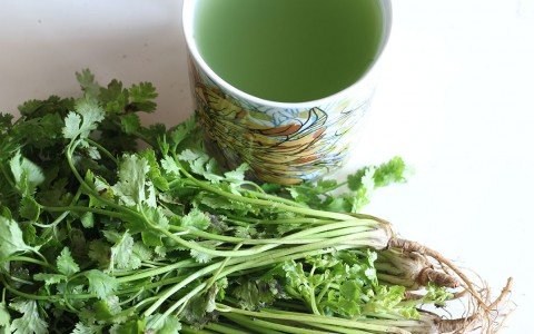 Coriander and its properties