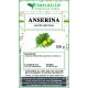 Anserina top herbal tea Anserina top herbal tea