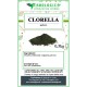 Clorella in polvere microalga naturale ricca di nutrienti Clorella in polvere microalga naturale ricca di nutrienti
