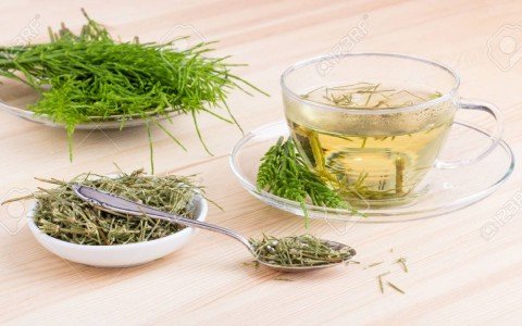 Horsetail herbal tea and its benefits