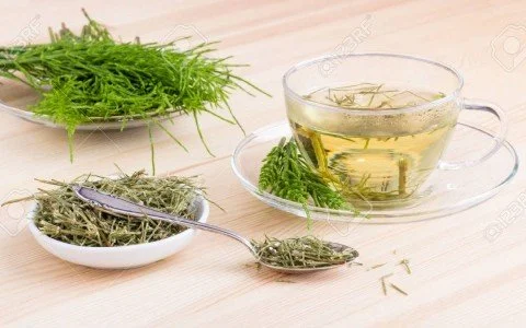 Equiseto tisana e i suoi benefici Equiseto tisana e i suoi benefici