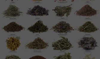 Erbe officinali alleviano sintomi della gastrite e reflusso