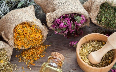 Medicinal herbs for herbal tea