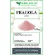 Polvere di fragole da 500g Polvere di fragole da 500g