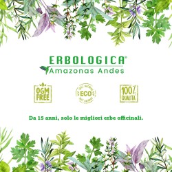 Finocchio radici taglio tisana Finocchio radici taglio tisana