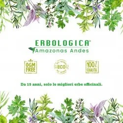 Tisana mangia e bevi frutti del giardino 