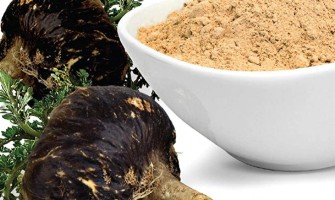 Maca delle Ande proprietà e benefici Maca delle Ande proprietà e benefici