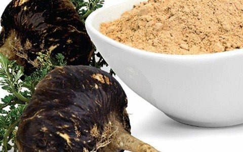 Maca of the Andes properties and benefits