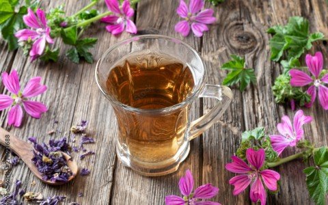The definitive guide to mallow herbal tea: benefits, preparation methods and recipes