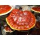 500g Reishi powder 500g Reishi powder
