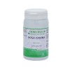 Rosa canina estratto in capsule