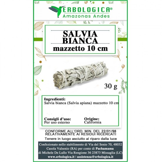 Salvia bianca mazzetto Salvia bianca mazzetto