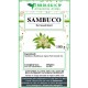 Sambuco fiori tisana 100 grammi Sambuco fiori tisana 100 grammi