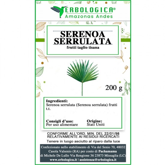 Serenoa serrulata frutti tisana Serenoa serrulata frutti tisana