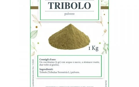 Tribulus terrestris Tribulus terrestris