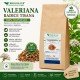 Valeriana Radice Essiccata Taglio Tisana per Relax e Sonno Naturale