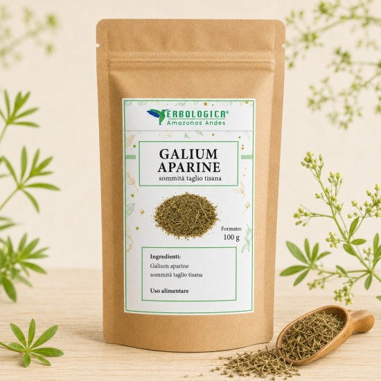 Galium aparine sommità taglio tisana Galium aparine sommità taglio tisana pianta officinale sfusa per infusi in confezioni da 100, 500 e 1000 grammi