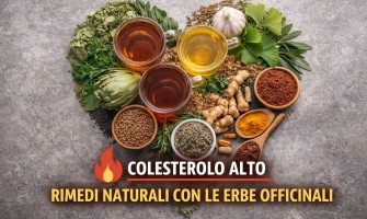 Colesterolo alto e rimedi naturali con le erbe officinali