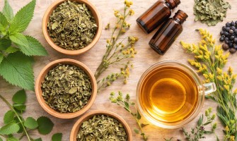 Tisane ed erbe per le vie urinarie: supporto naturale al drenaggio