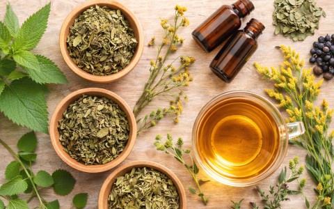 Tisane ed erbe per le vie urinarie: supporto naturale al drenaggio