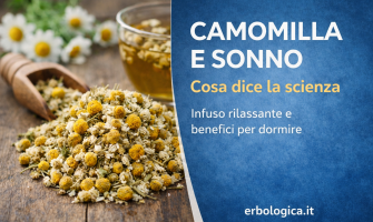 Camomilla e sonno: cosa dice la scienza