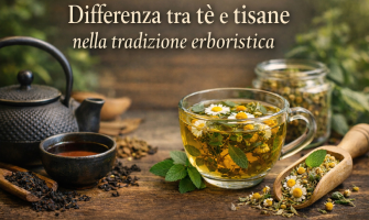 Differenza tra tè e tisane nella tradizione erboristica