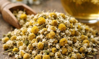 Camomilla: proprietà, benefici, usi e sicurezza | Erbologica