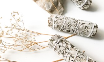 Salvia bianca: cos’è, origine botanica e differenza con la salvia officinale