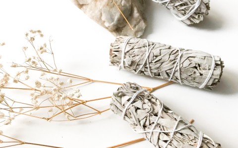 Salvia bianca: cos’è, origine botanica e differenza con la salvia officinale