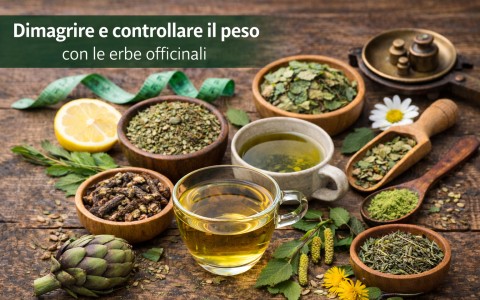 Dimagrire e controllare il peso con le erbe officinali