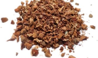 Cipresso bacche e i suoi benefici come utilizzarle