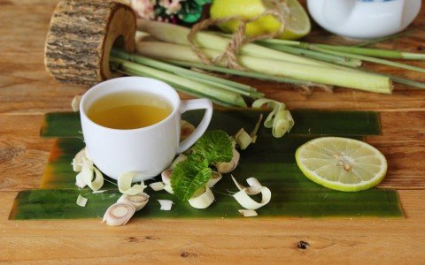 Citronella eats to use it and i suoi benefited