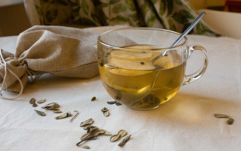 Jasmine for herbal tea uses and benefits
