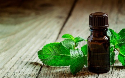 Peppermint essential oil uses and benefits