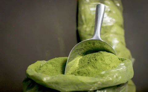 Moringa Oleifera proprietà e usi della pianta Moringa Oleifera proprietà e usi della pianta
