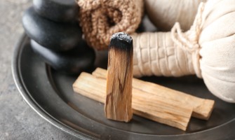 I benefici del palo santo: una guida a questo legno sacro