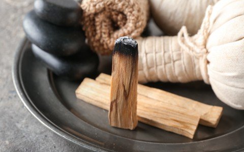 The benefits of palo santo: a guide to this sacred wood