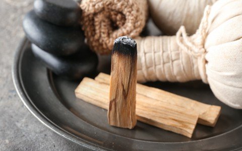 I benefici del palo santo: una guida a questo legno sacro