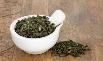 Parietaria pianta usi e benefici per la salute Parietaria pianta usi e benefici per la salute