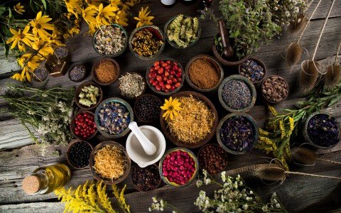 Boosting women's health harness the benefits of medicinal herbs
